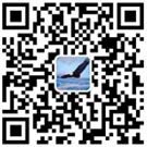 公司手機(jī)站